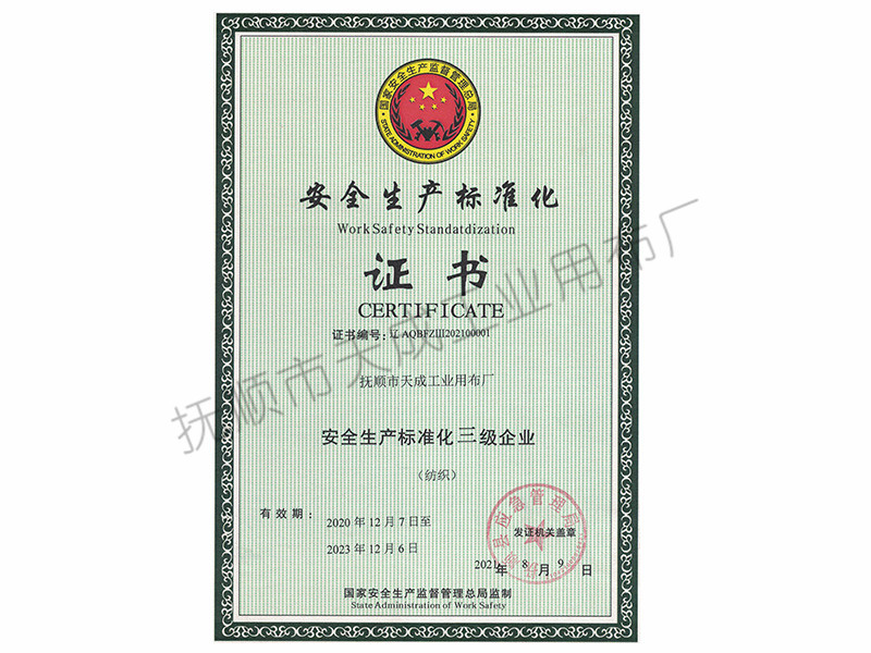 安全生产标准会三级企业